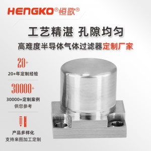 氣體過(guò)濾IGS面板專用過(guò)濾器_半導(dǎo)體潔凈高純氣體過(guò)濾器 兼容多種密封